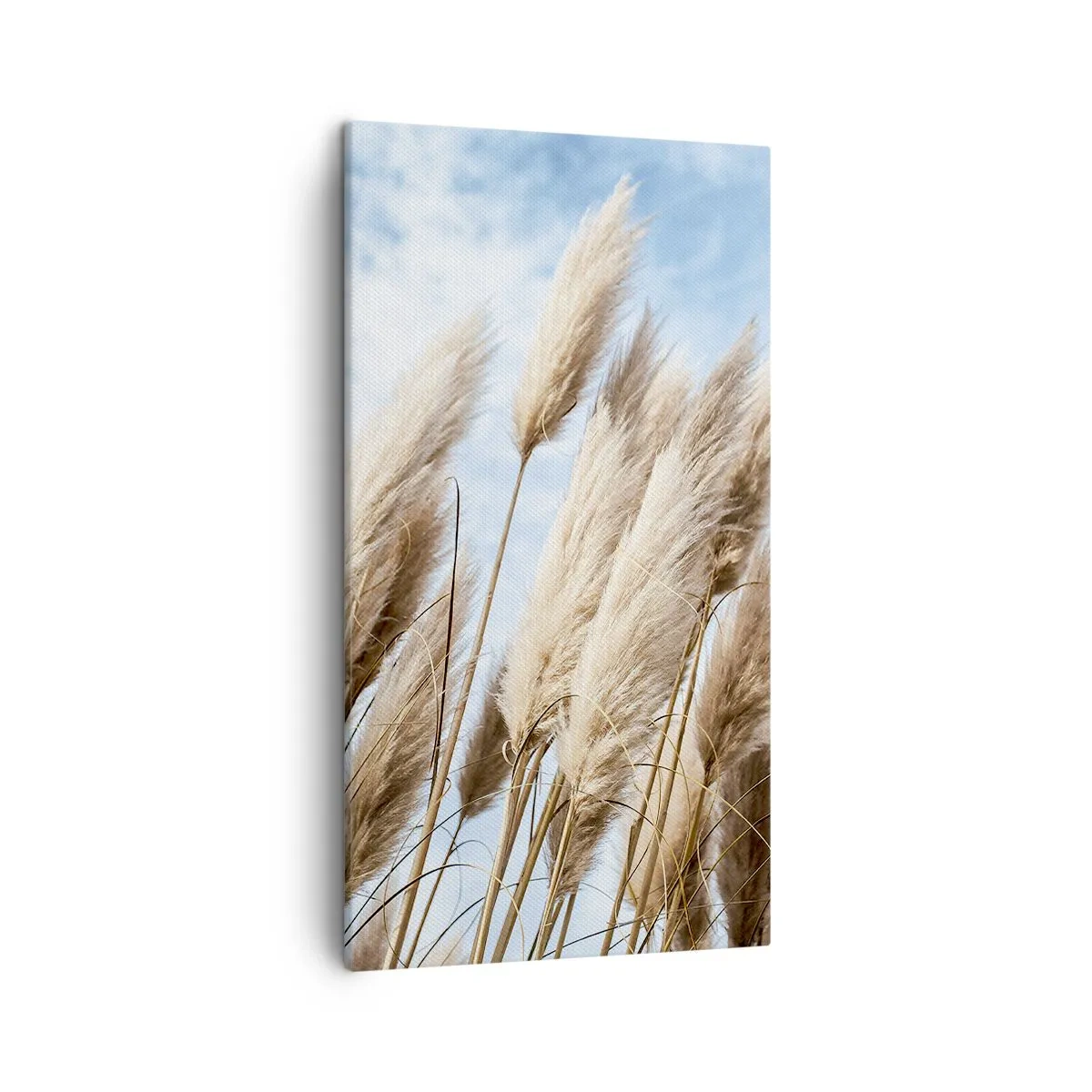 Obraz na płótnie - Słoneczna i wietrzna pieszczota - 45x80 cm