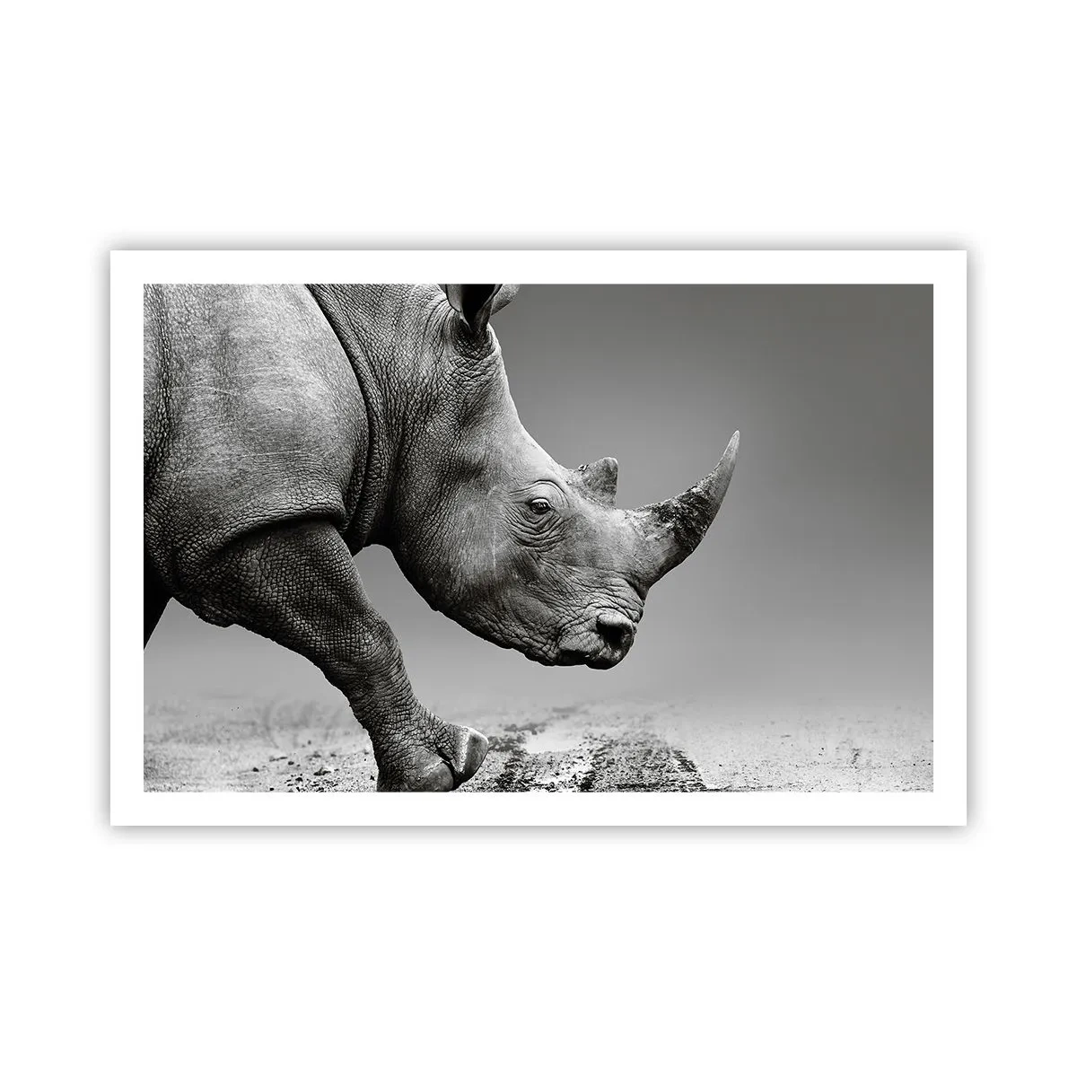 Plakat - Niepowstrzymana siła - 91x61 cm