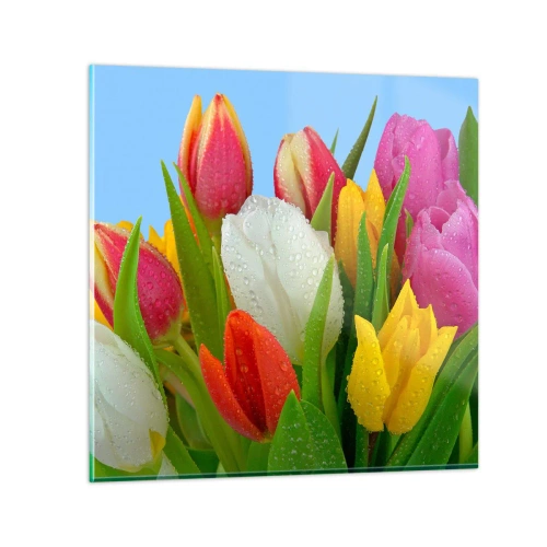 Obraz na szkle - Kwiatowa tęcza w kroplach rosy - 30x30 cm