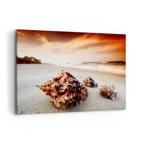 Obraz na płótnie - Muszle na plaży o zachodzie słońca - 120x80cm - Wygnanki fal - Nowoczesna dekoracja ścienna do salonu, kuchni i sypialni ARTTOR