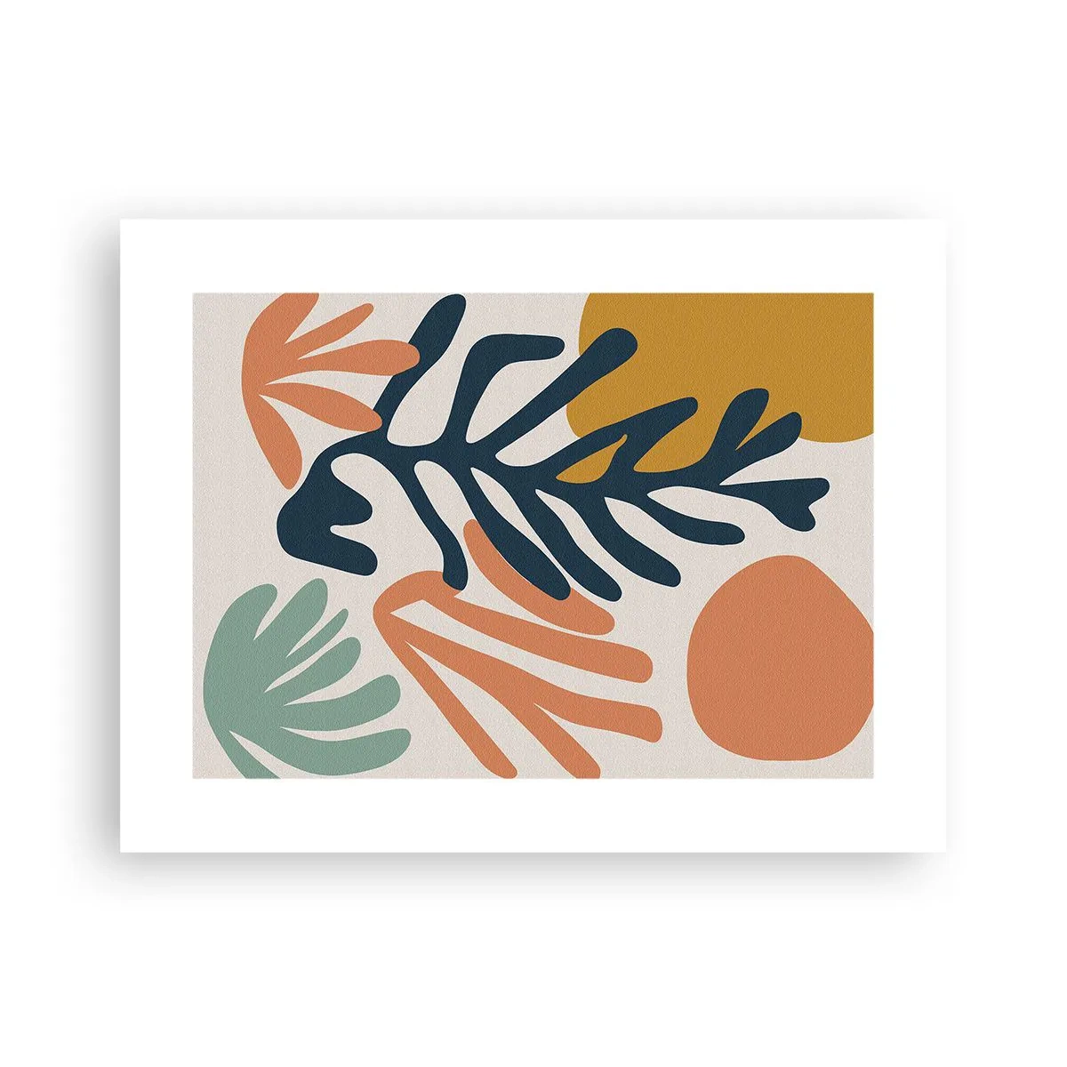 Plakat - Koralowe morza - 40x30 cm