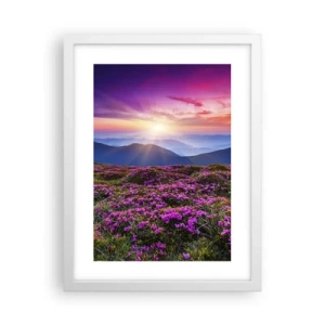 Plakat w białej ramie - Ziół zapachniały świeże pęki od niw - 30x40 cm