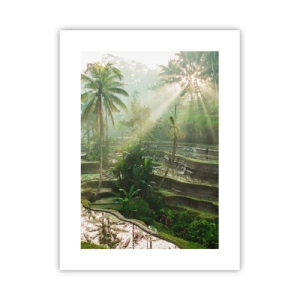 Plakat - Dorastać w słońcu - 30x40 cm