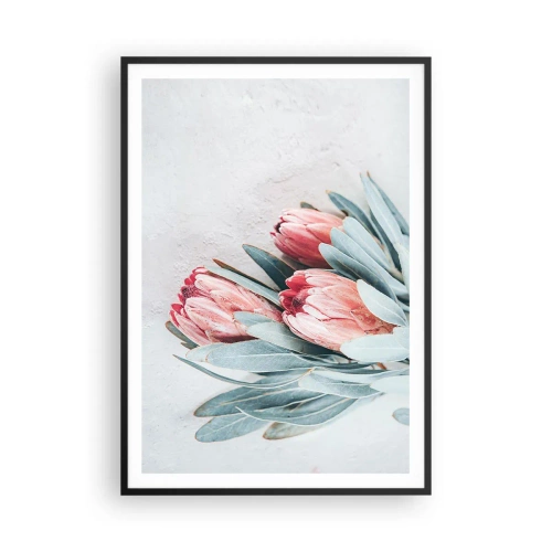 Plakat w czarnej ramie - Zawstydzone własną urodą - 70x100 cm