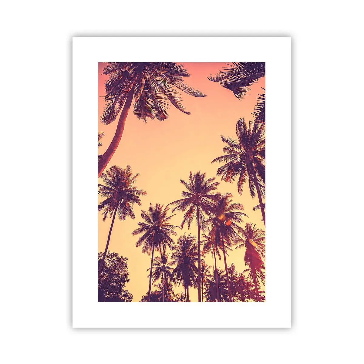 Plakat - Tropikalna wariacja - 30x40 cm