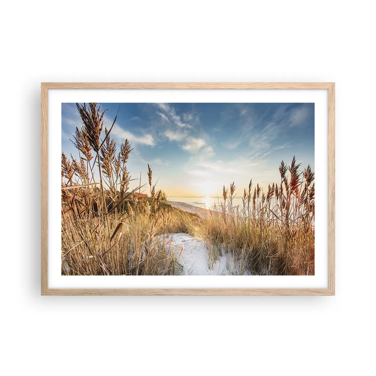 Plakat w ramie jasny dąb - Północna plaża - 70x50 cm