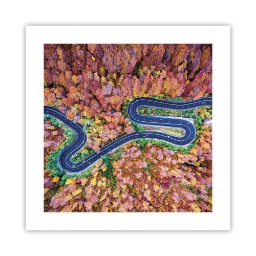 Plakat - Krętą drogą poprzez las - 40x40 cm