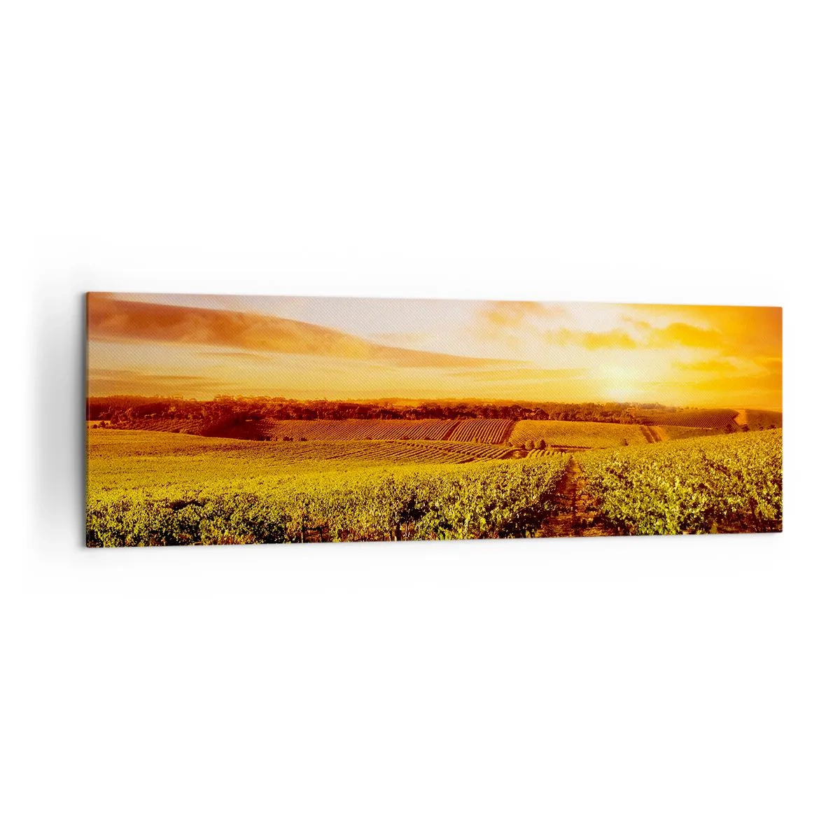 Obraz na płótnie - Winnica o zachodzie słońca z ciepłymi odcieniami nieba - 160x50cm - Delikatnie owocowe z nutą słońca - Nowoczesna dekoracja ścienna do salonu i sypialni ARTTOR