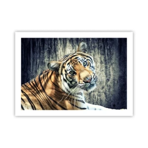 Plakat - Portret w strugach światła - 70x50 cm