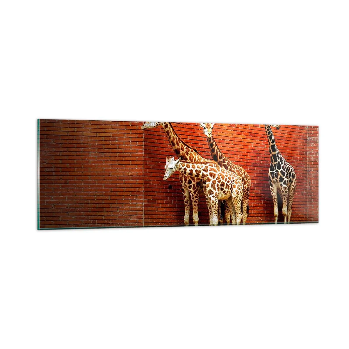 Obraz na szkle - Widzicie jakąś akację? - 90x30 cm