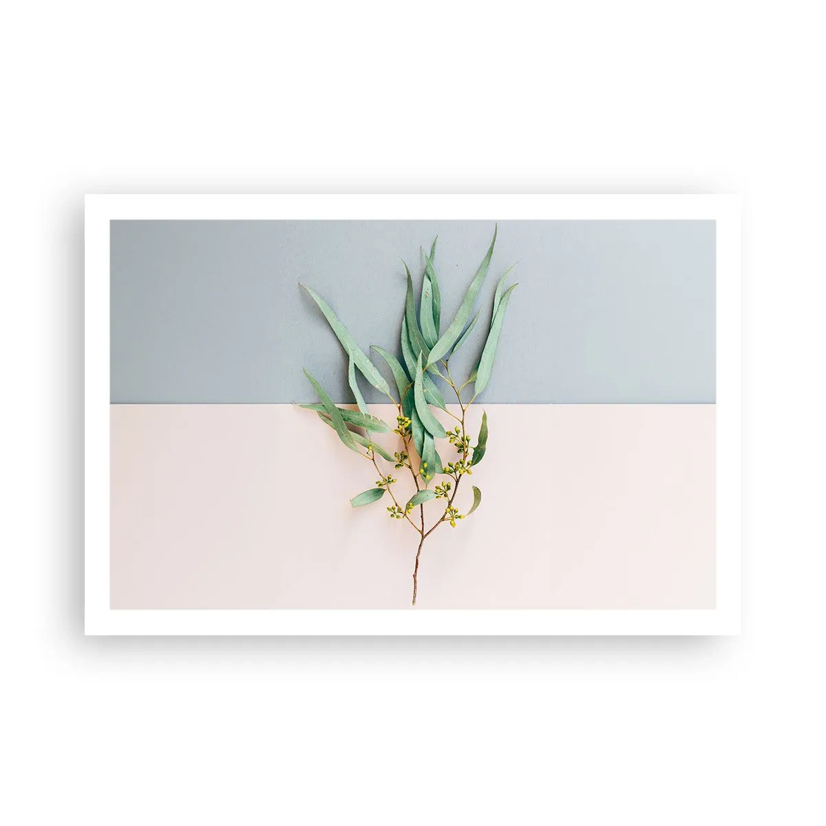 Plakat - Pastelowa subtelność - 91x61 cm