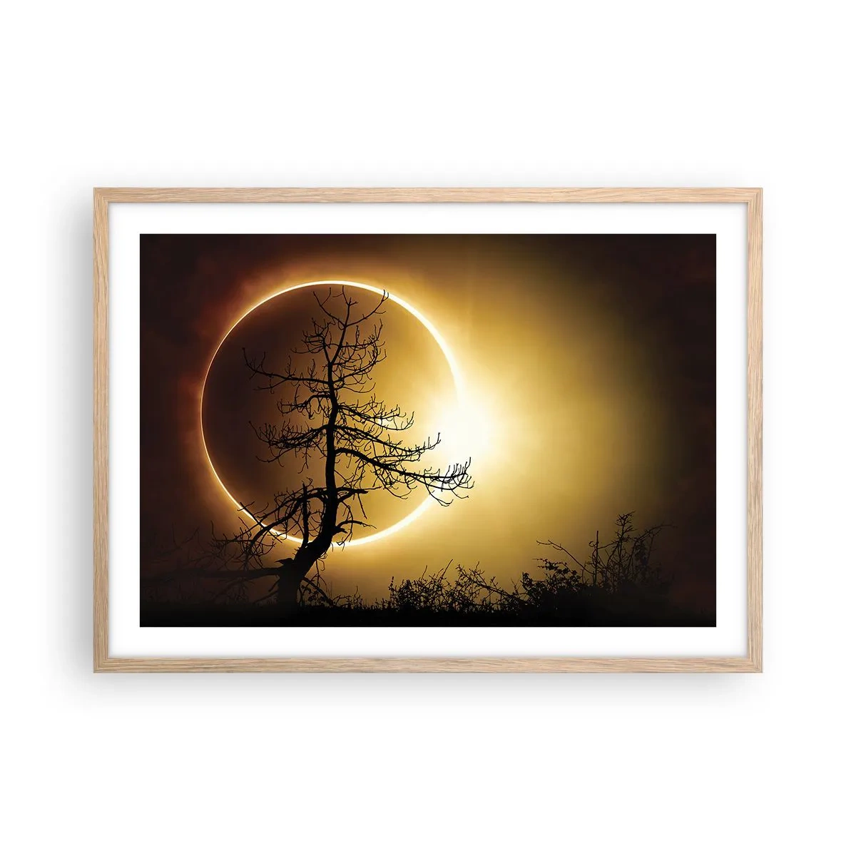 Plakat w ramie jasny dąb - Całkowite zaćmienie - 70x50 cm