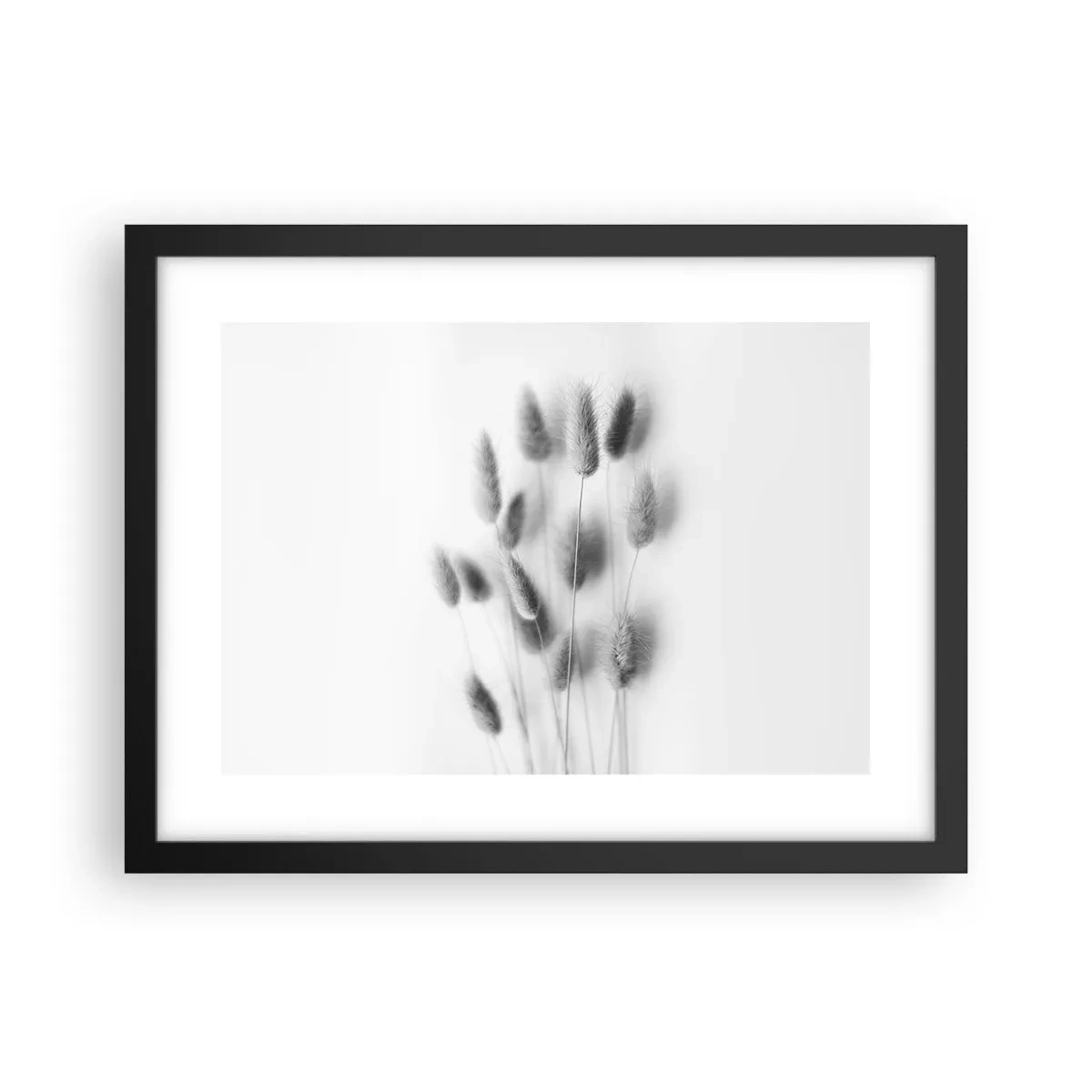 Plakat w czarnej ramie - Jej puszystość trawa - 40x30 cm