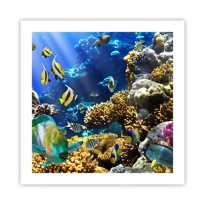 Plakat - Duży ruch na wakacyjnym szlaku - 50x50 cm