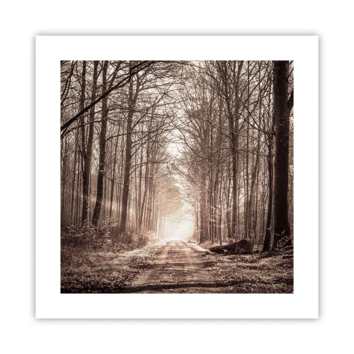 Plakat - Leśna katedra - 40x40 cm