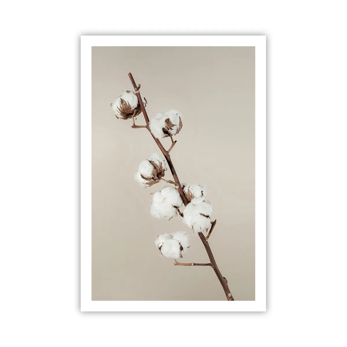 Plakat - U źródła miękkości - 61x91 cm