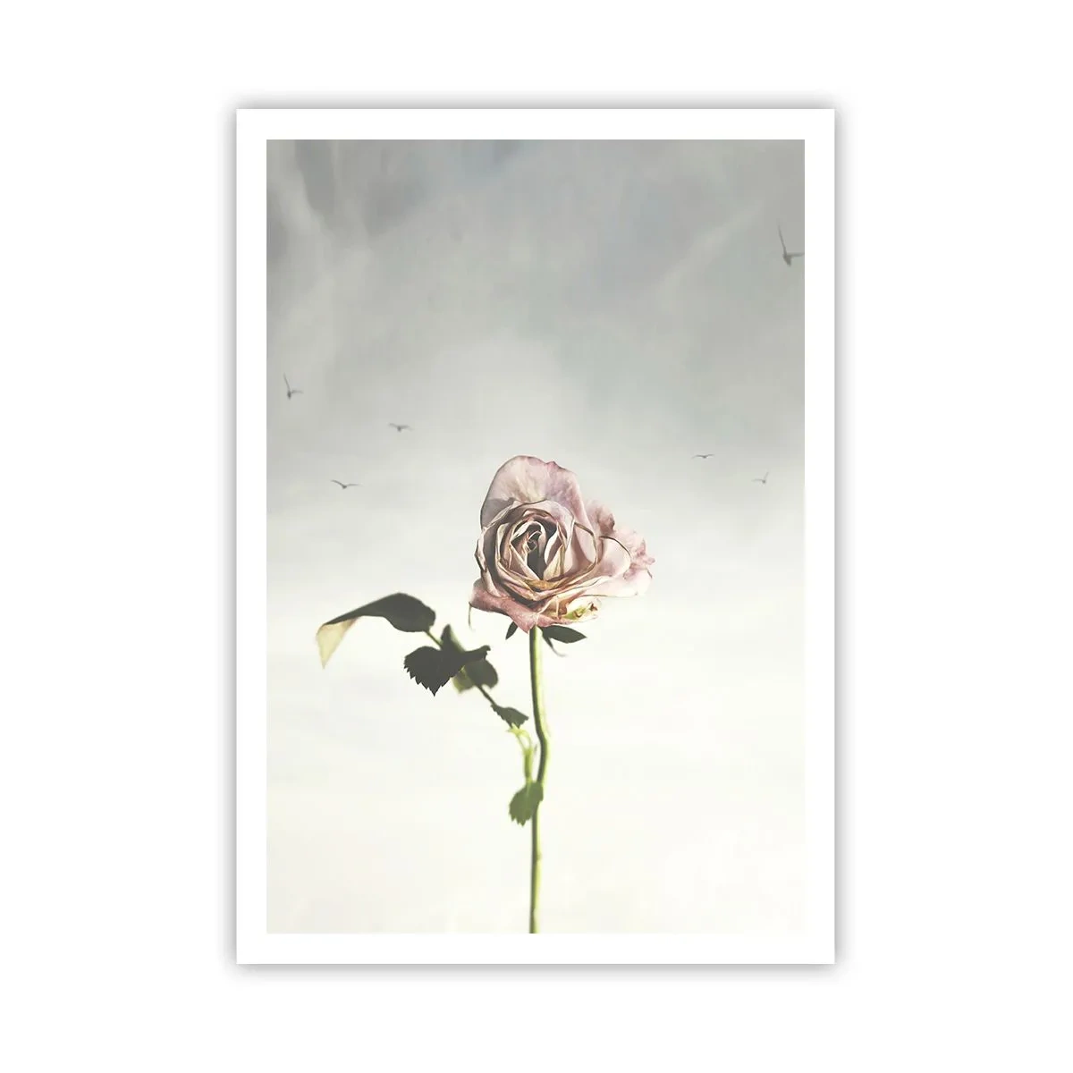 Plakat - Powitanie wiosny - 70x100 cm