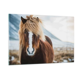 Obraz na szkle - Koń na tle górskiego krajobrazu zimą - 120x80cm - Czujesz wolność? - Nowoczesna dekoracja ścienna do salonu, kuchni i sypialni ARTTOR
