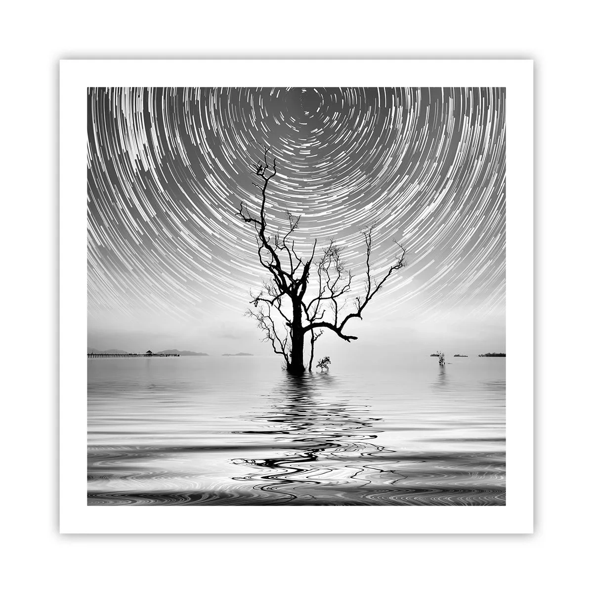 Plakat - Symfonia natury - 60x60 cm