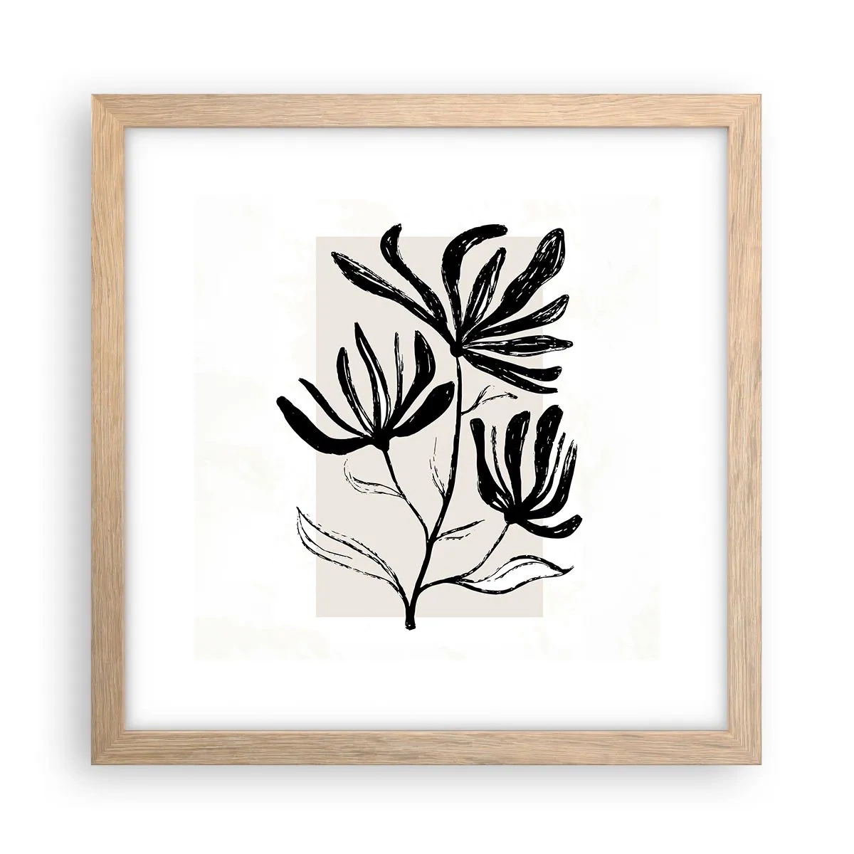 Plakat w ramie jasny dąb - Szkic do zielnika - 30x30 cm