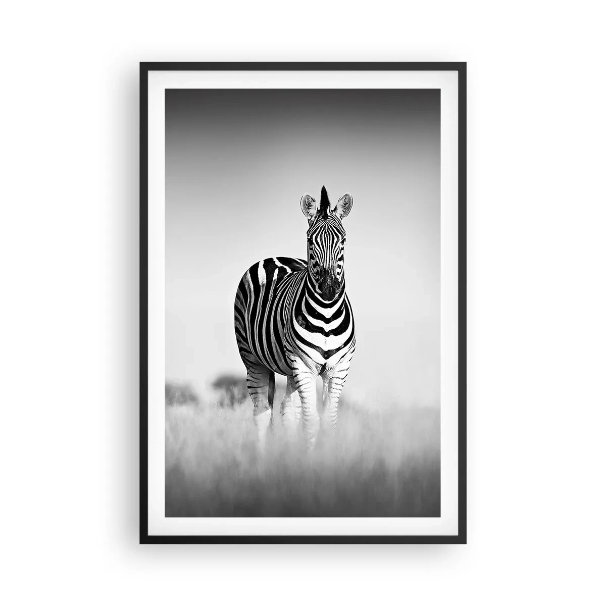 Plakat w czarnej ramie - A jednak świat jest czarno-biały - 61x91 cm