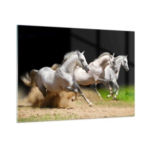 Obraz na szkle - Trzy białe konie galopujące po piaszczystym podłożu - 100x70cm - Trzy Gracje - Nowoczesna dekoracja ścienna do salonu, kuchni i sypialni ARTTOR