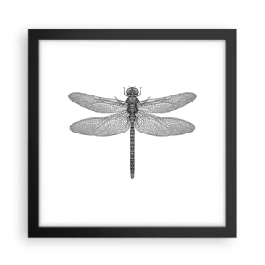 Plakat w czarnej ramie - Precyzja natury - 30x30 cm