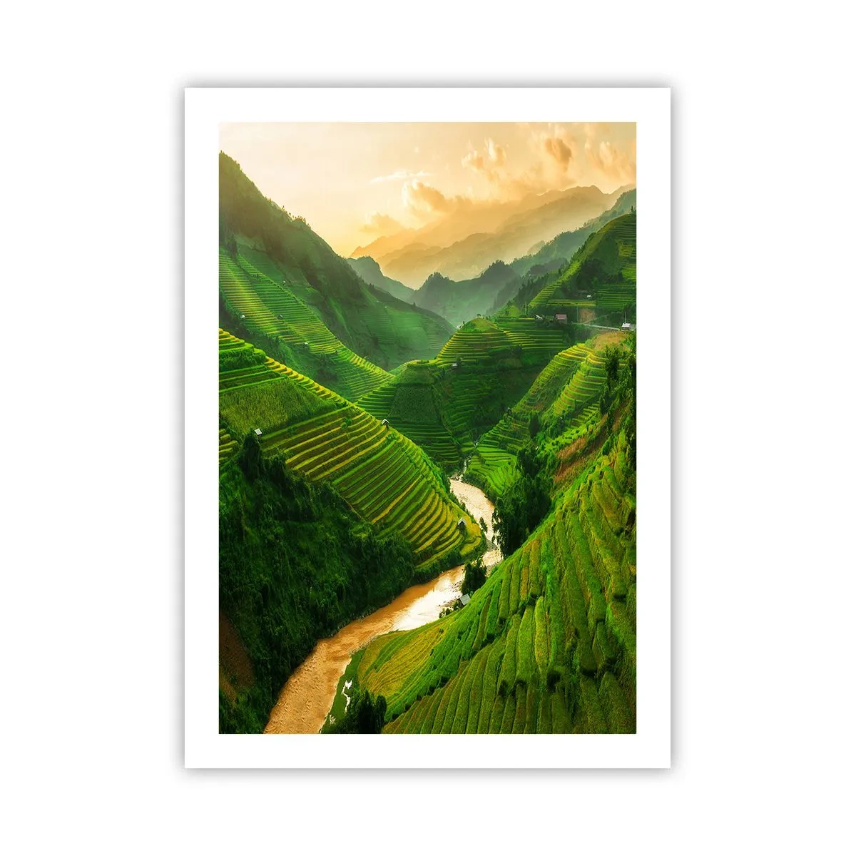 Plakat - Malownicze tarasy ryżowe w zielonej dolinie - 50x70cm - Wietnamska dolina - Nowoczesna dekoracja ścienna do salonu, kuchni i sypialni ARTTOR