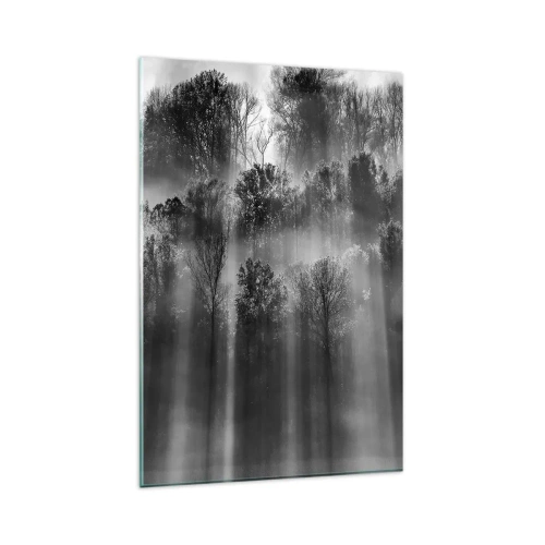 Obraz na szkle - Czarno-biały las w promieniach porannego światła - 80x120cm - W strumieniach światła - Nowoczesna dekoracja ścienna do salonu i sypialni ARTTOR