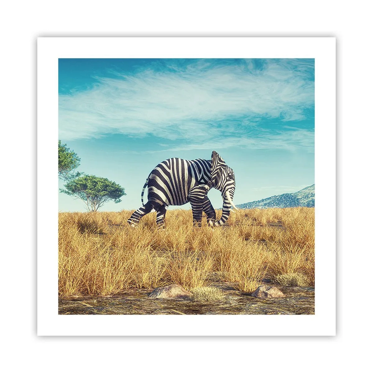 Plakat - Szarość już niemodna - 50x50 cm