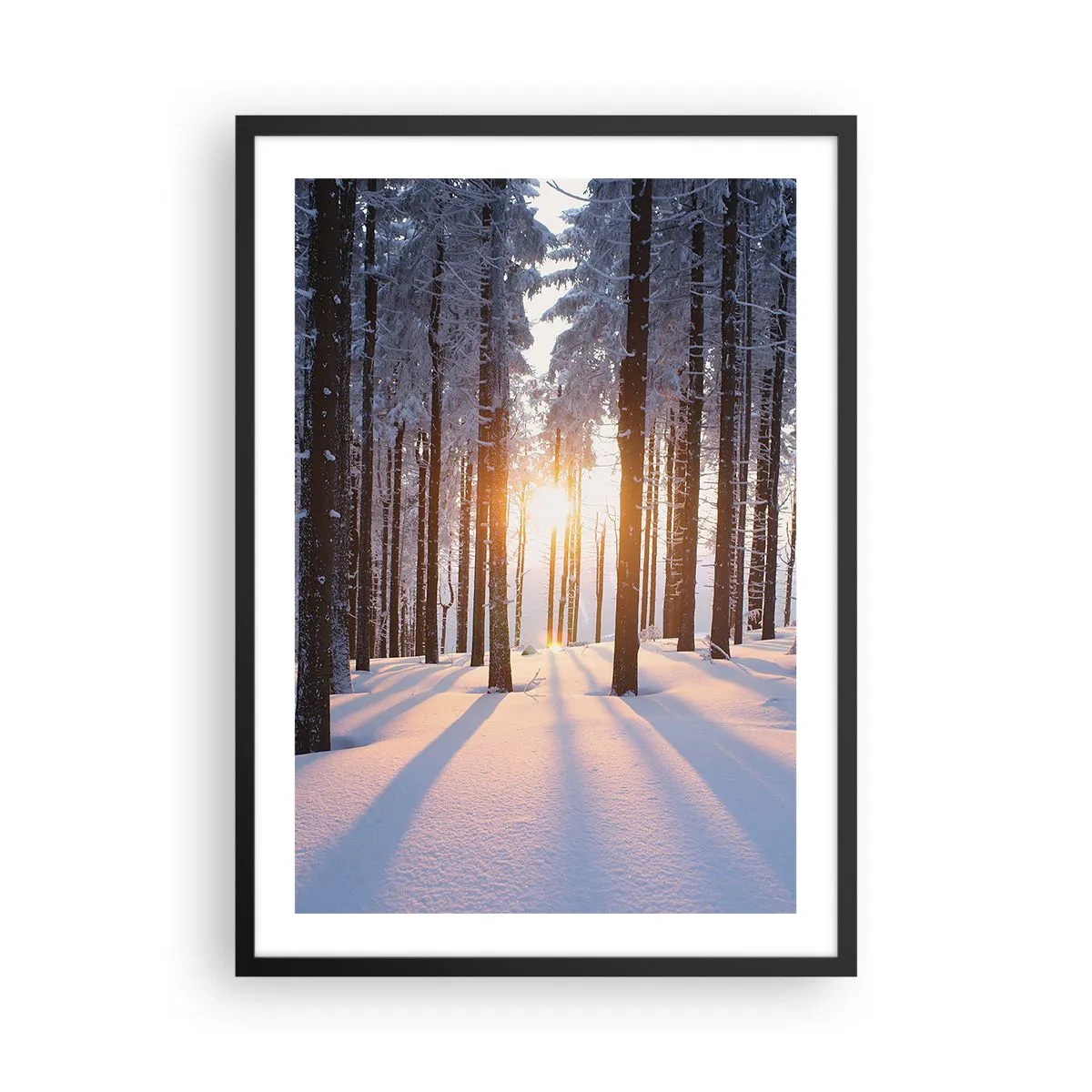 Plakat w czarnej ramie - Zimowy las z promieniami słońca przeświecającymi przez drzewa - 50x70cm - Wyraźnie czarno na białym - Nowoczesna dekoracja ścienna do salonu i sypialni ARTTOR