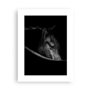 Plakat - Czarny książę - 30x40 cm