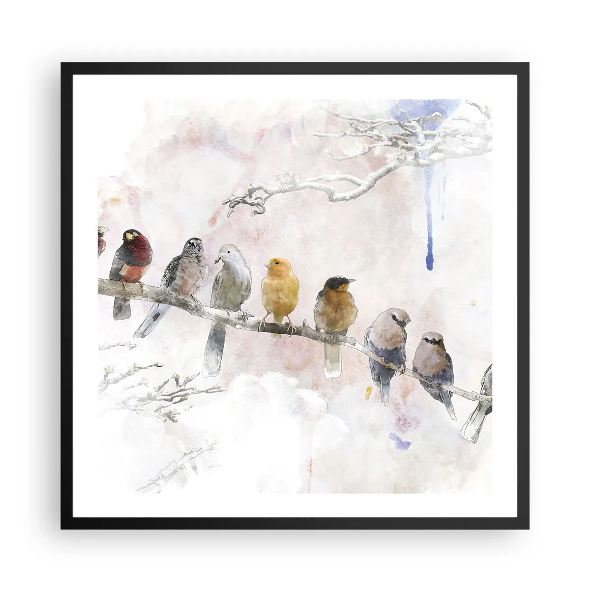 Plakat w czarnej ramie - Skrzydlate spotkanie - 60x60 cm