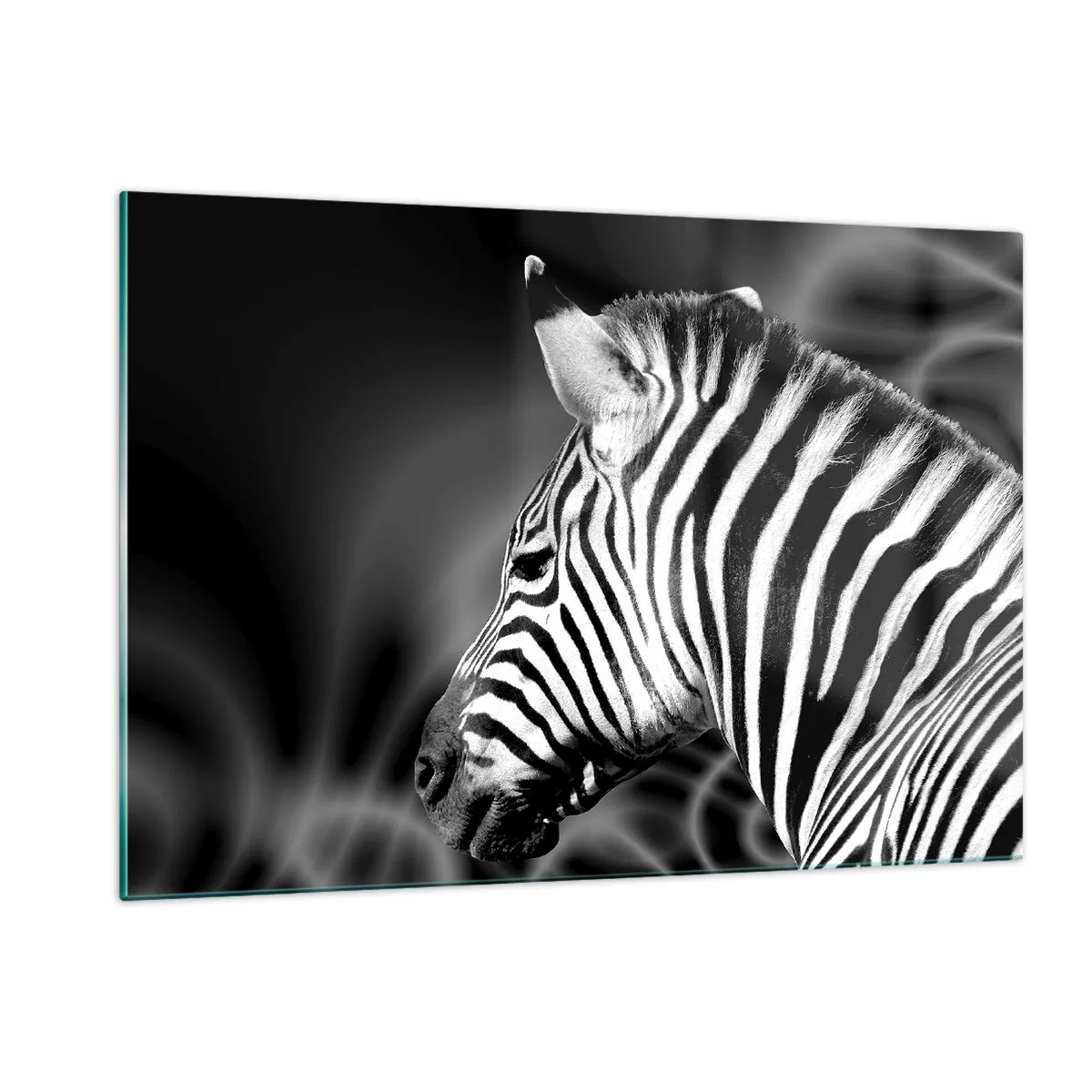 Obraz na szkle - Zebra w czarno-białej estetyce - 120x80cm - Białe jest białe, a czarne jest czarne - Nowoczesna dekoracja ścienna do salonu, kuchni i sypialni ARTTOR