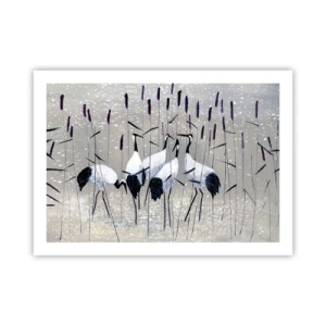 Plakat - Wśród swoich - 70x50 cm