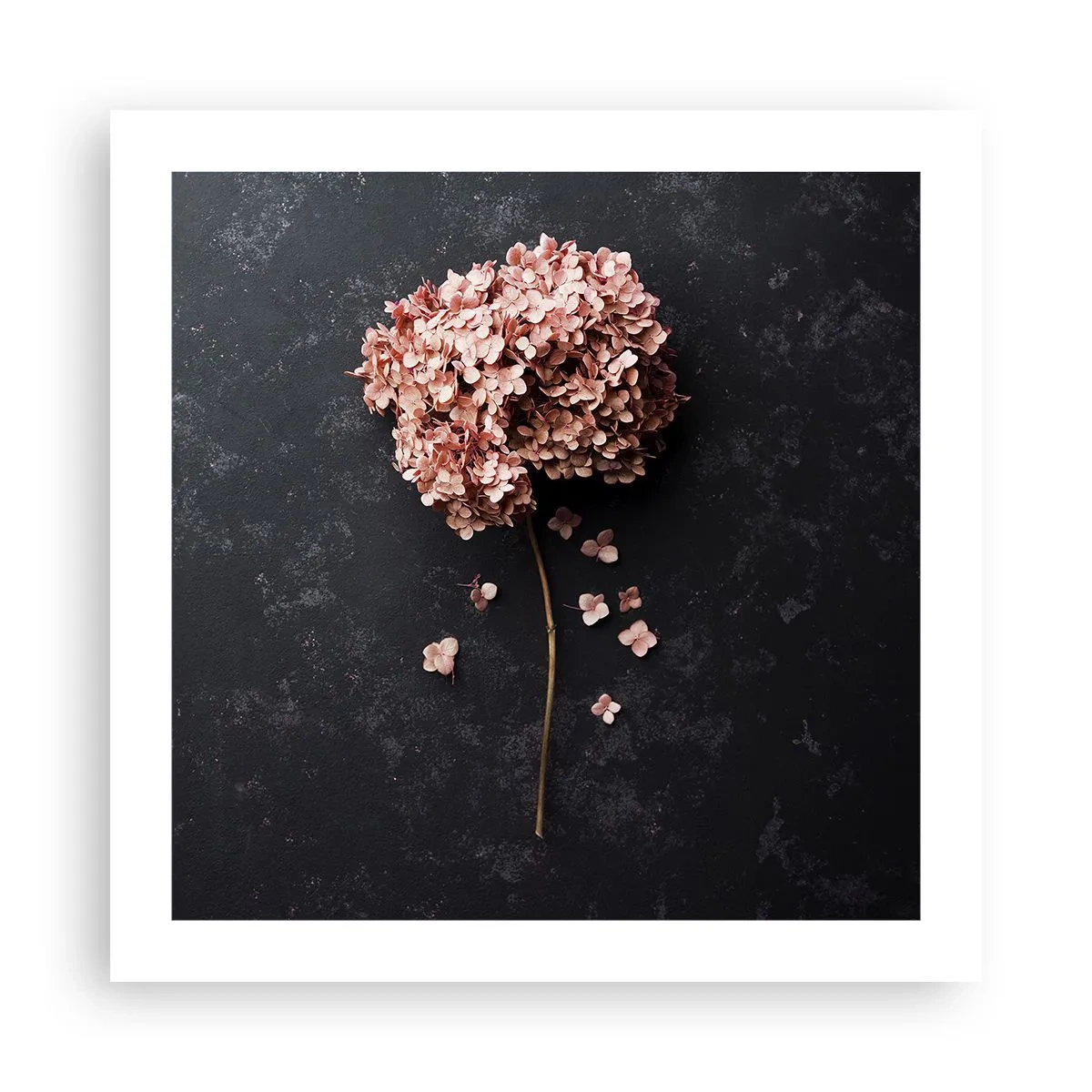 Plakat - Prawdziwie romantyczny znak - 50x50 cm