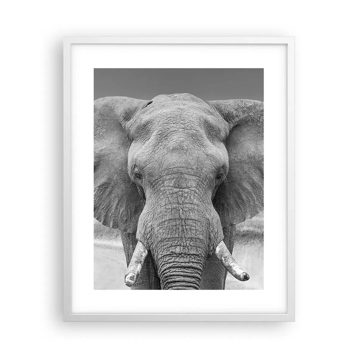 Plakat w białej ramie - Witaj w moim świecie - 40x50 cm