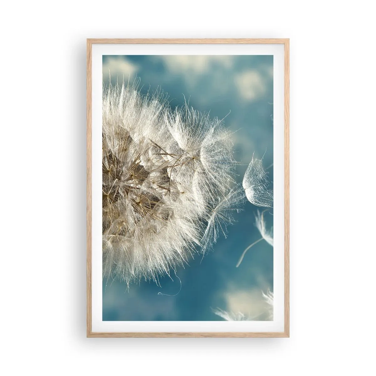 Plakat w ramie jasny dąb - Oddech anioła - 61x91 cm