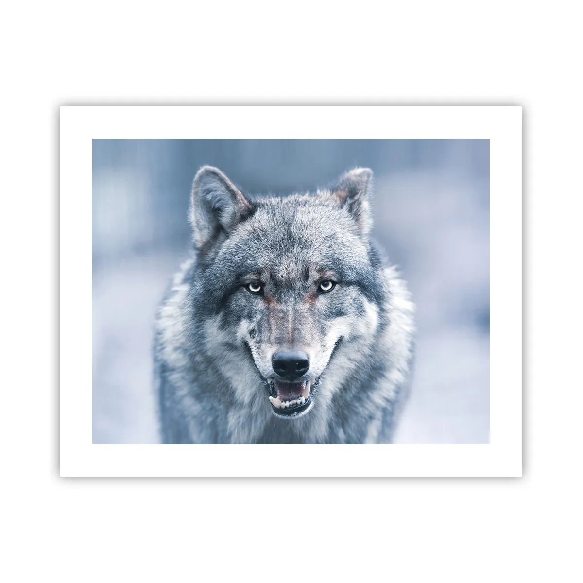 Plakat - Podejmiesz wyzwanie? - 50x40 cm