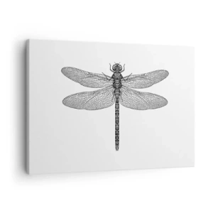 Obraz na płótnie - Czarno-biały rysunek ważki na białym tle w minimalistycznym stylu - 70x50cm - Precyzja natury - Nowoczesna dekoracja ścienna do salonu i sypialni ARTTOR