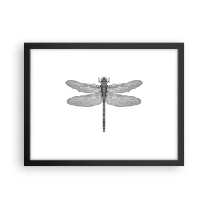 Plakat w czarnej ramie - Precyzja natury - 40x30 cm