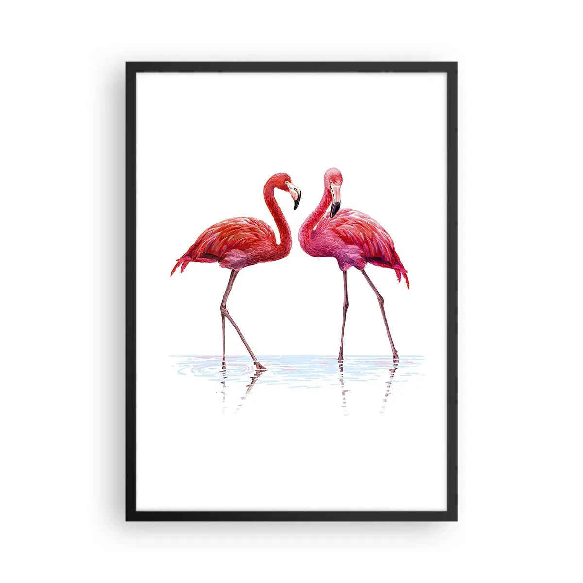 Plakat w czarnej ramie - Dwa flamingi na białym tle z odbiciem w wodzie - 50x70cm - Różowe randez-vous - Nowoczesna dekoracja ścienna do salonu i sypialni ARTTOR