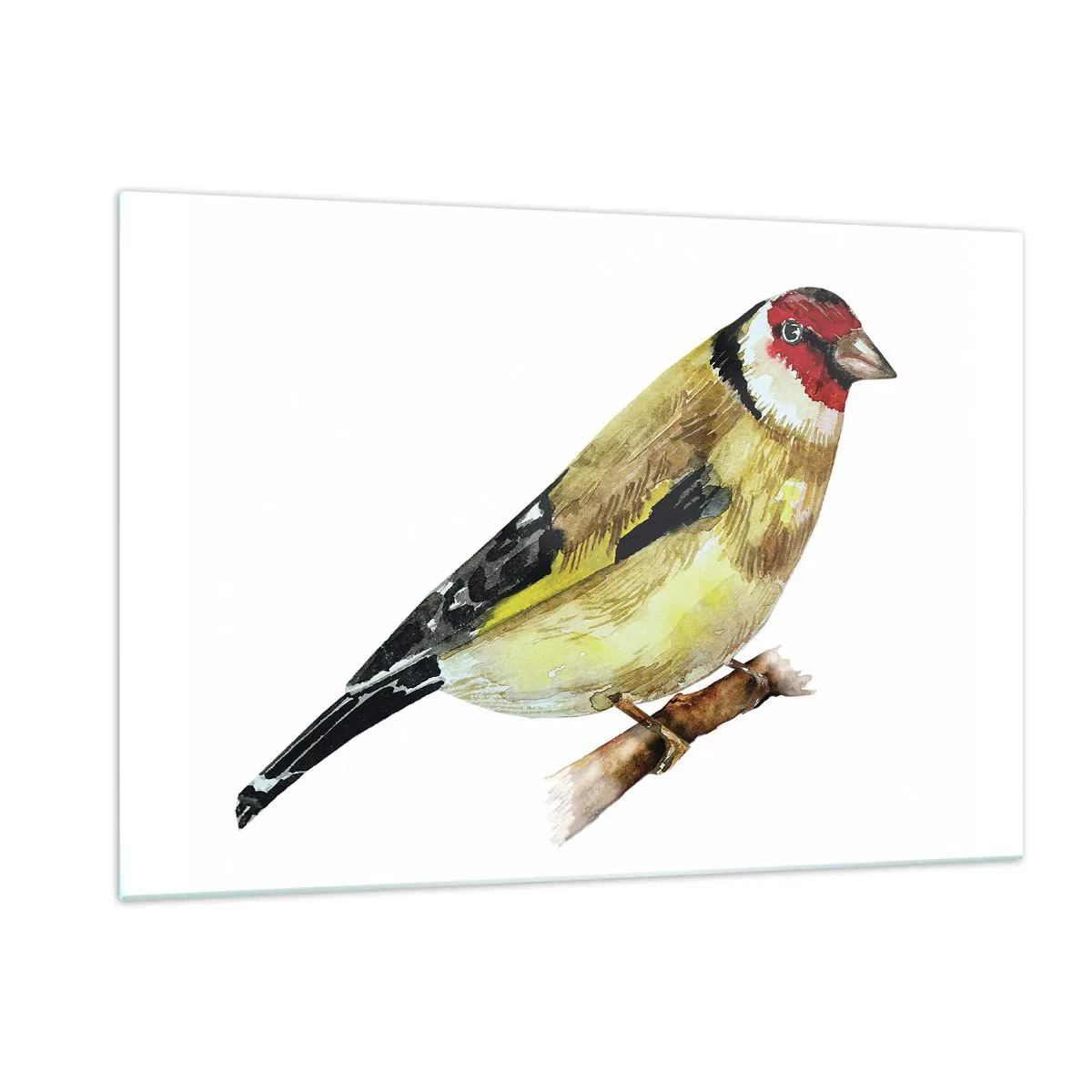 Obraz na szkle - Akwarelowy ptak na gałęzi w delikatnych barwach - 120x80cm - Ptasi portret - Nowoczesna dekoracja ścienna do salonu, kuchni i sypialni ARTTOR