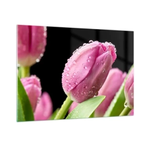 Obraz na szkle - Różowe tulipany pokryte kroplami rosy na czarnym tle - 100x70cm - Liliowy sen w rosie - Nowoczesna dekoracja ścienna do salonu, kuchni i sypialni ARTTOR