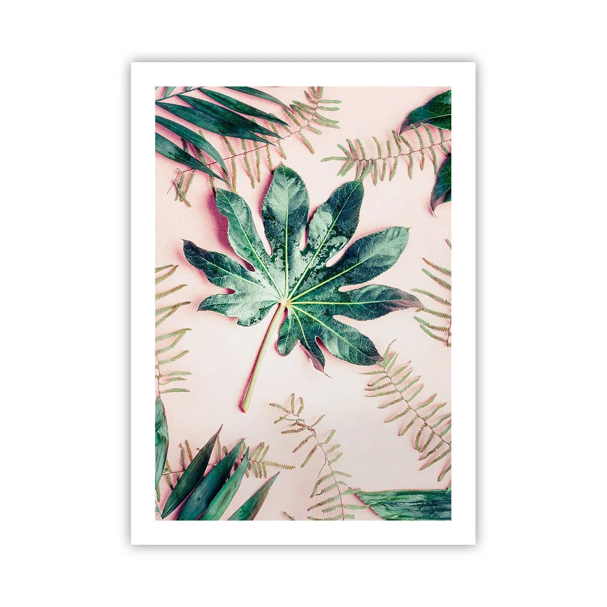 Plakat - Liście w różnych odcieniach zieleni na różowym tle - 50x70cm - Studium zieleni na różowym tle - Nowoczesna dekoracja ścienna do salonu, kuchni i sypialni ARTTOR