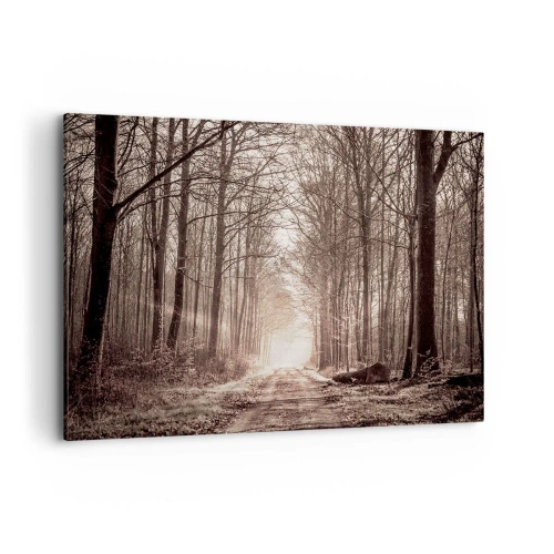 Obraz na płótnie - Leśna ścieżka wśród drzew w odcieniach sepii - 100x70cm - Leśna katedra - Nowoczesna dekoracja ścienna do salonu, kuchni i sypialni ARTTOR