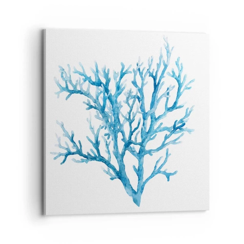 Obraz na płótnie - Morski filigran - 70x70 cm