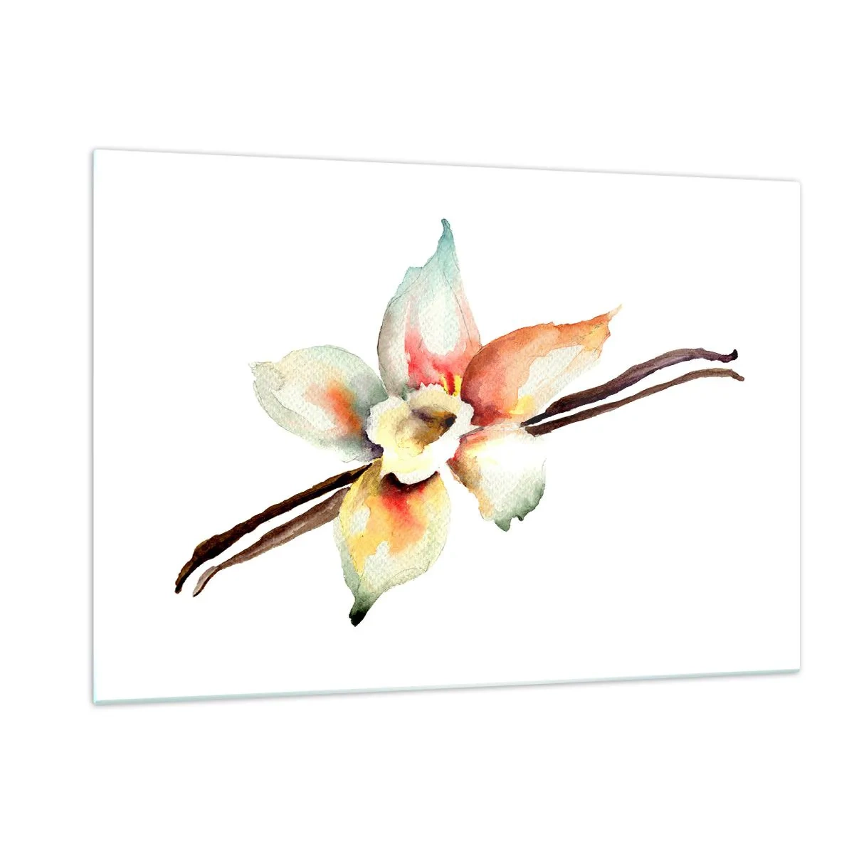 Obraz na szkle - Akwarelowa ilustracja waniliowego kwiatu na białym tle - 120x80cm - Rozlana farbką słodycz - Nowoczesna dekoracja ścienna do salonu, kuchni i sypialni ARTTOR