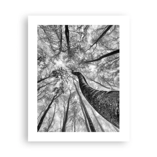 Plakat - Wyścig do światła - 40x50 cm