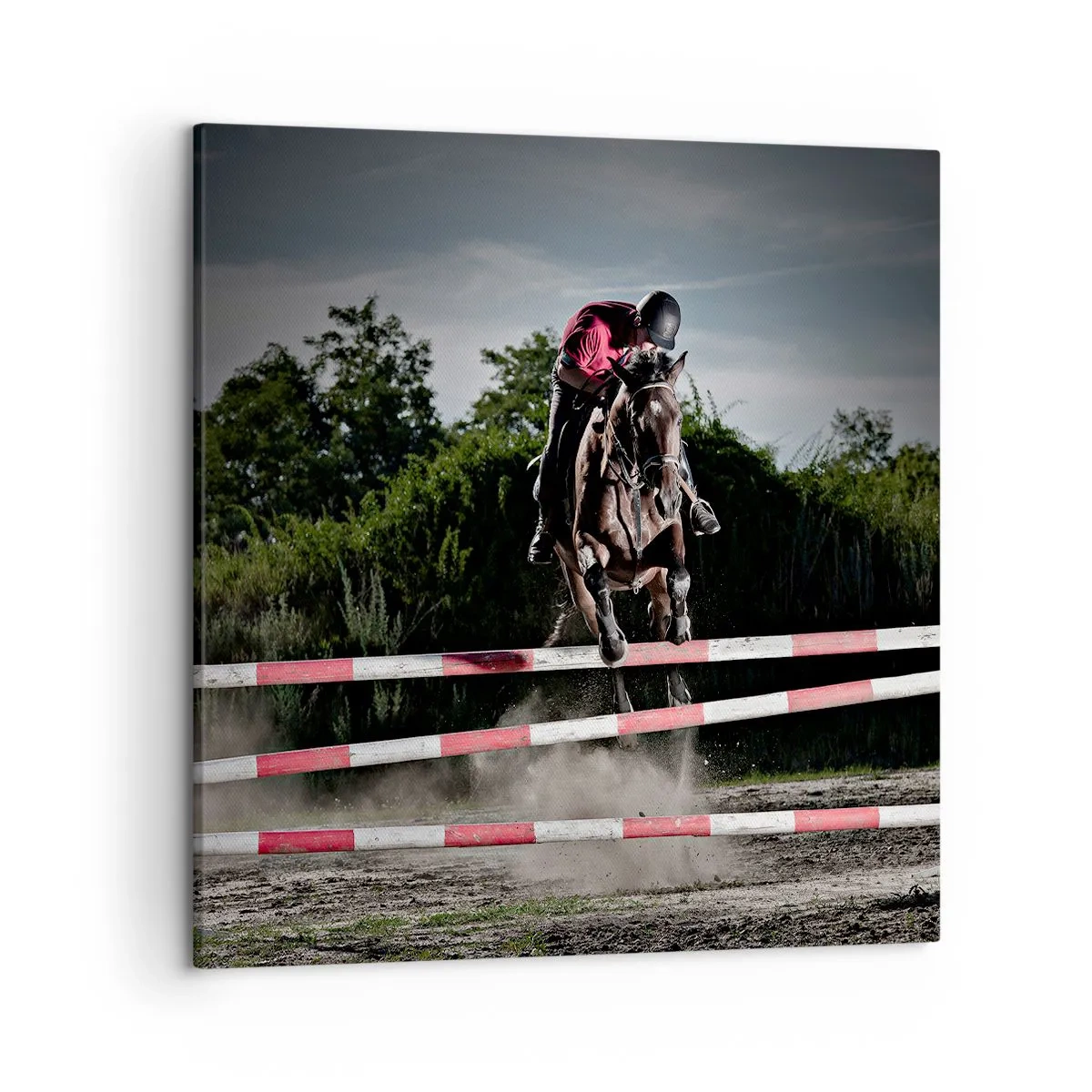 Obraz na płótnie - Razem po zwycięstwo - 50x50 cm